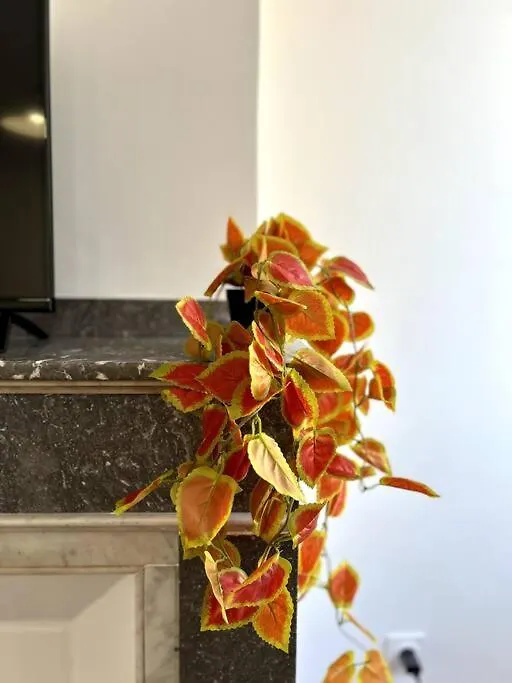 Le Toulousain 302 - Appartement Cosy En Hypercentre - Quartier Jeanne-D'Arc Toulouse 0*,  France